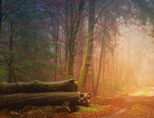 The Twilight Country of October