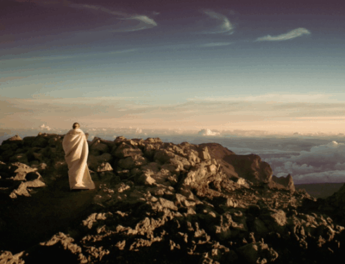 Irving Babbitt: An Act of Reparation