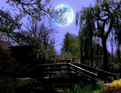 On Gardens, Institutions, and the Universe