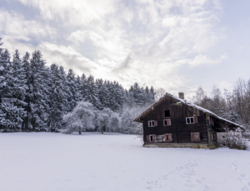 Snowbound