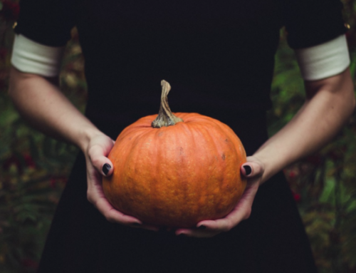 In Pursuit of the Perfect American Pumpkin… in Russia