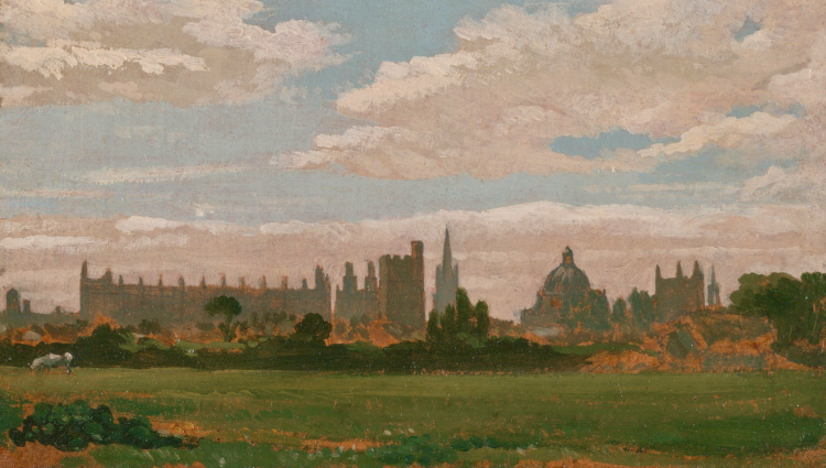 The Idea of a University