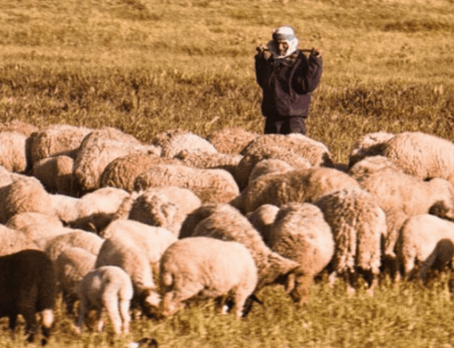 The Shepherd of Hermas