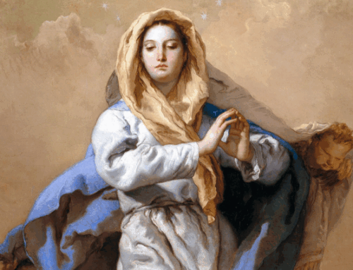 Presidential Message on the Feast of the Immaculate Conception
