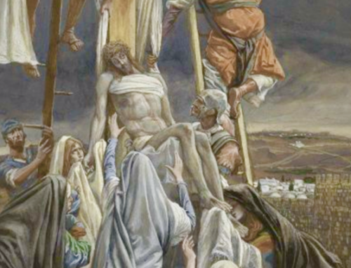 Encounter With Christ