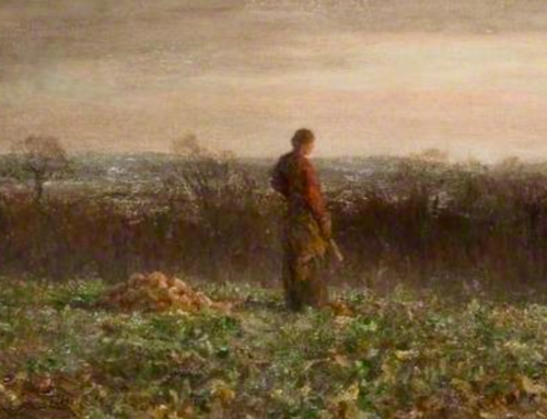 Living an Integrated Life