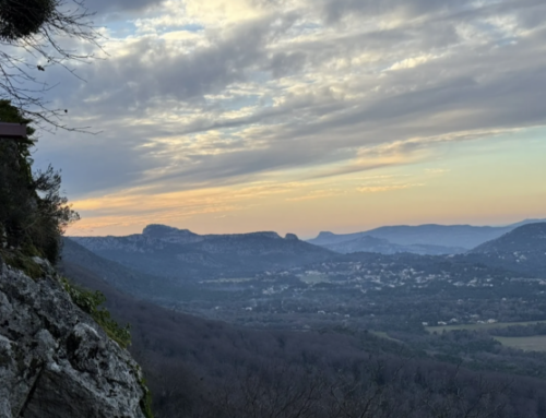 I Have Seen the Lord