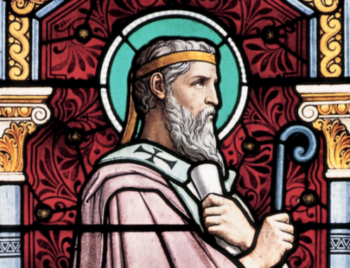 St. Irenaeus & the Redemption of All Things