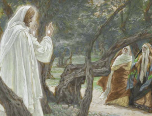God’s Holy Angel