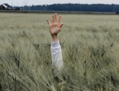 High Fives and the Final Judgment