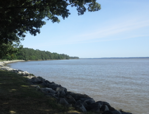 The Jamestown Project: The Start of Something Big