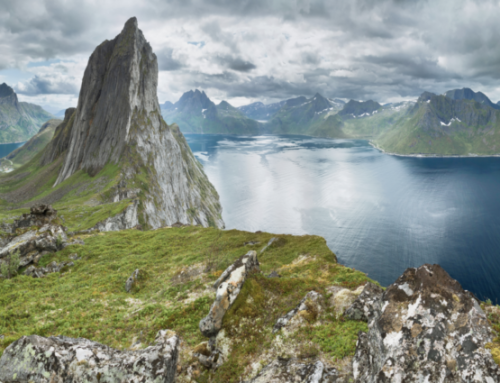 The Noble North