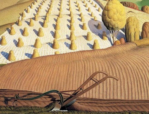Clean Earth to Till