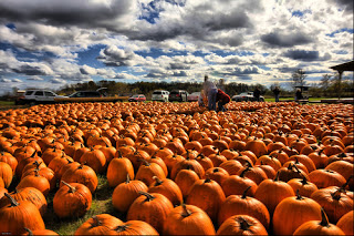 pumpkin humor
